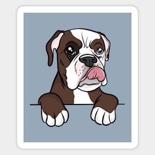 Tri colored Boxer Magnet